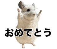 857954249