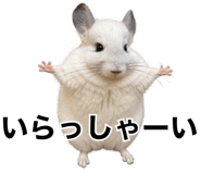 857954252