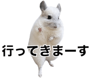 857954255