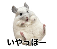 857954258