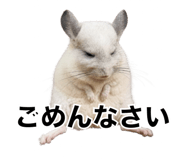 857954262