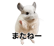 857954264