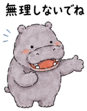 857954553