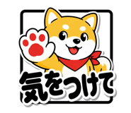 857955414