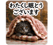 857956121