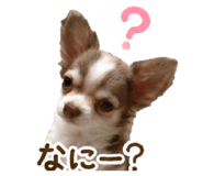 857956700