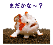 857958146
