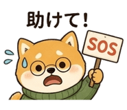 857960543