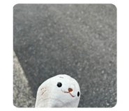 857961552