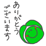 857962456