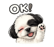 857962716