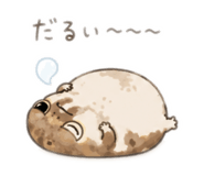 857964316