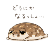 857964319