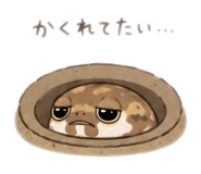 857964320