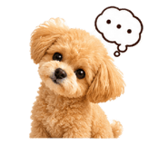 857964690
