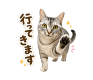 857965228