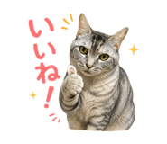 857965229