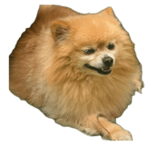 857967373
