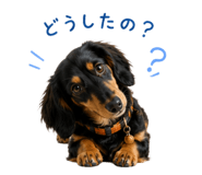 857967768