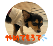 857967903