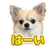 857969204