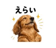 857969827