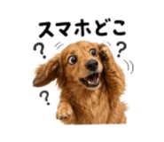 857969833