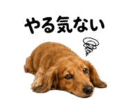 857969843