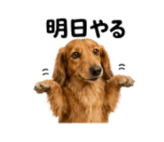 857969844