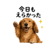 857969846