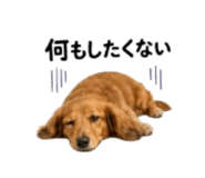 857969848