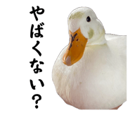 857971679