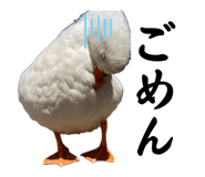857971685