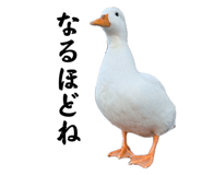 857971687