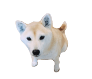 857971721
