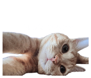857971924