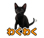 857972244