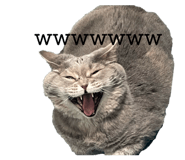 857972328