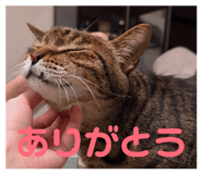 857972337