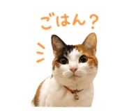 857974745