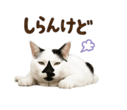 857974752