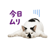 857974753