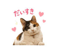 857974765
