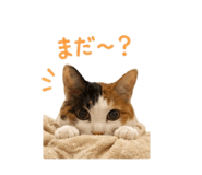 857974766