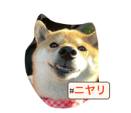 857976466