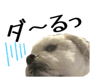 857976829