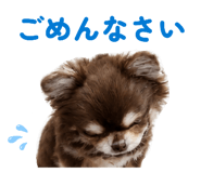 857977699