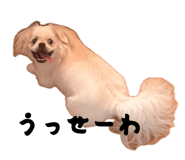 857977724