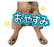 857978194