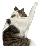 857979065